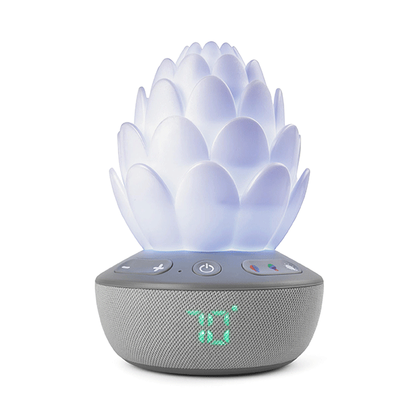 Skip Hop Terra Cry-Activated Succulent Glow Sound Machine