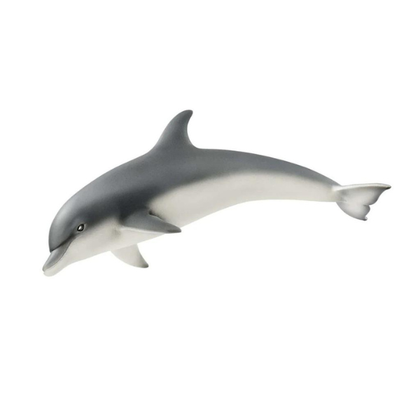 Schleich Wild Life Dolphin Figurine