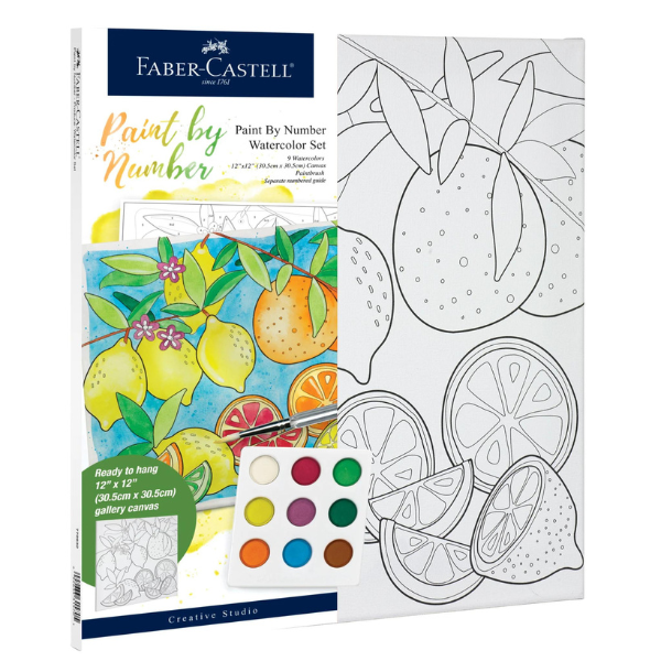 Faber-Castell Watercolour Paint by Number Produce