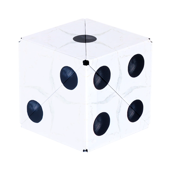 Shashibo Renaissance Dice Collection Shape Shifting Box Puzzle