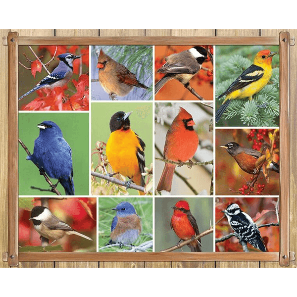 SpringBok Songbirds 100 Piece Puzzle