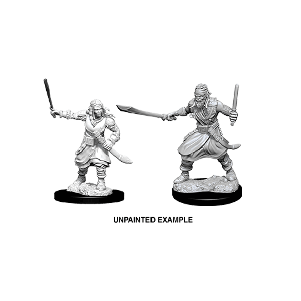 D&D Nolzur's Marvelous Unpainted Miniatures: Wave 8: Bandits