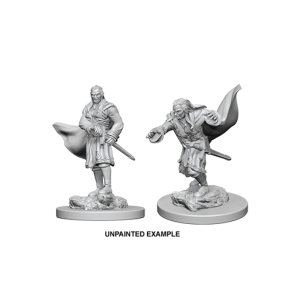 Nolzur's Marvelous Unpainted Miniatures: Wave 1: Vampires