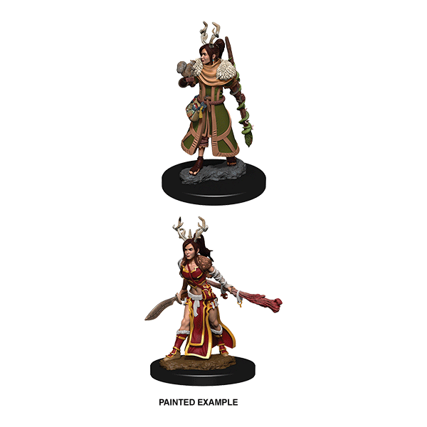 D&D Nolzur's Marvelous Unpainted Miniatures: Wave 9: Human Female Druid