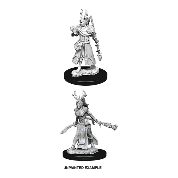 D&D Nolzur's Marvelous Unpainted Miniatures: Wave 9: Human Female Druid ...