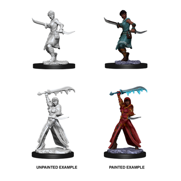 D&D Nolzurs Marvelous Unpainted Miniatures: Wave 10: Female Human Rogue