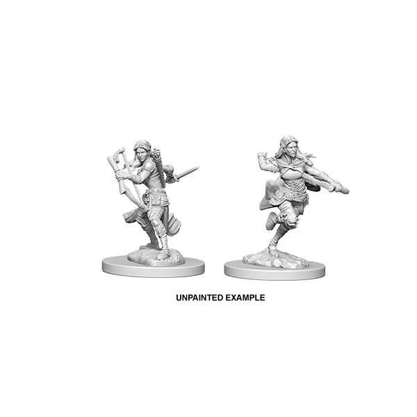 D&D Nolzurs Marvelous Unpainted Miniatures: Wave 4: Air Genasi Female Rogue