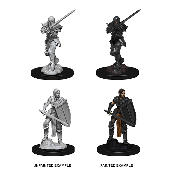 D&D Nolzur's Marvelous Unpainted Miniatures: Wave 9: Human Female Fighter