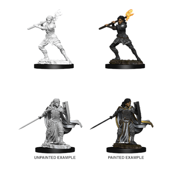 D&D Nolzur's Marvelous Unpainted Miniatures: Wave 10: Female Human Paladin