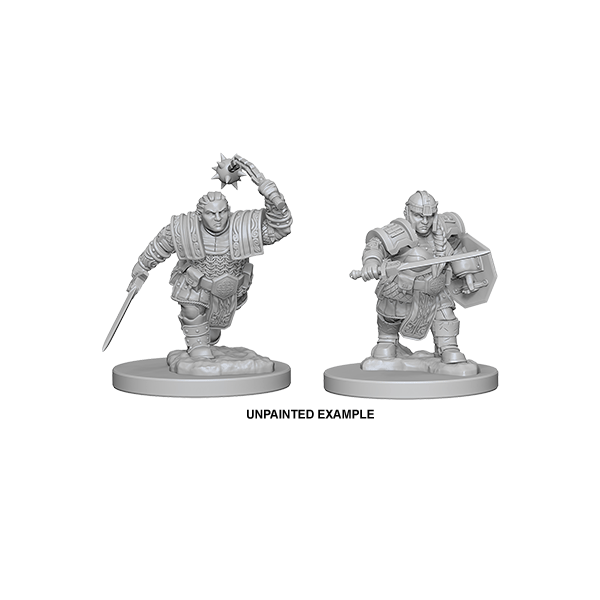 D&D Nolzur's Marvelous Unpainted Miniatures: Wave 2: Dwarf Female Fighter