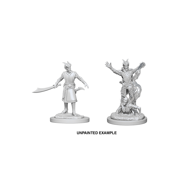 D&D Nolzur's Marvelous Unpainted Miniatures: Wave 6: Tiefling Male Warlock