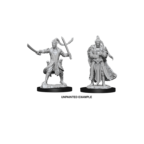 D&D Nolzur's Marvelous Unpainted Miniatures: Wave 9: Elf Male Paladin