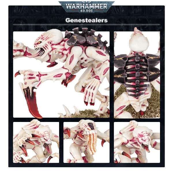 Warhammer 40,000: Tyranids Genestealer Broods